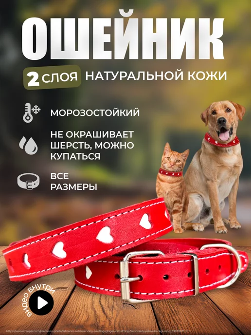 Гламурная одежда для собак - Dog Glamour. Одежда для чихуахуа в большом ассортименте.