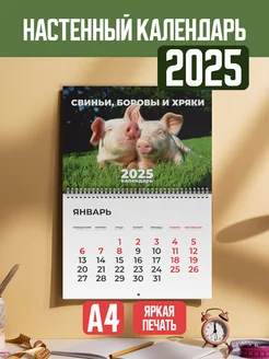 Календарь настенный на 2025 год перекидной прикольный Belki BY 181114046 купить за 354 ₽ в интернет-магазине Wildberries