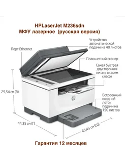 МФУ лазерное LaserJet M236sdn 3в1 принтер, сканер, копир HP 181169926 купить за 29 086 ₽ в интернет-магазине Wildberries