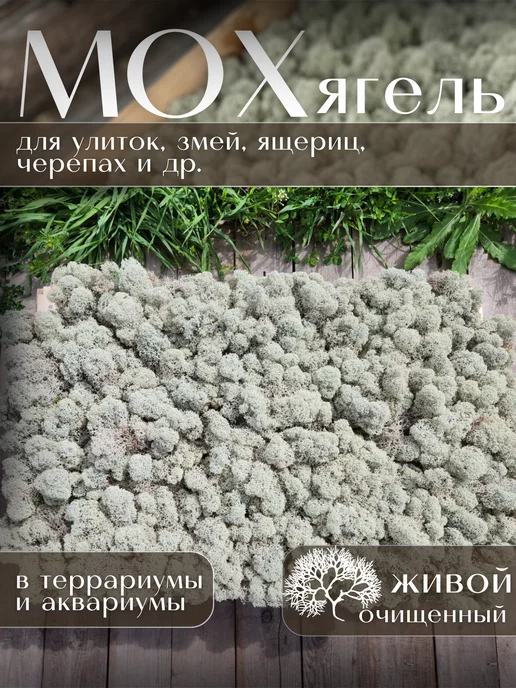 MossShop Мох Ягель для улиток и рептилий 200г