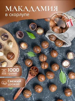 Макадамия 1кг, орехи Best Snacks 181283548 купить за 524 ₽ в интернет-магазине Wildberries