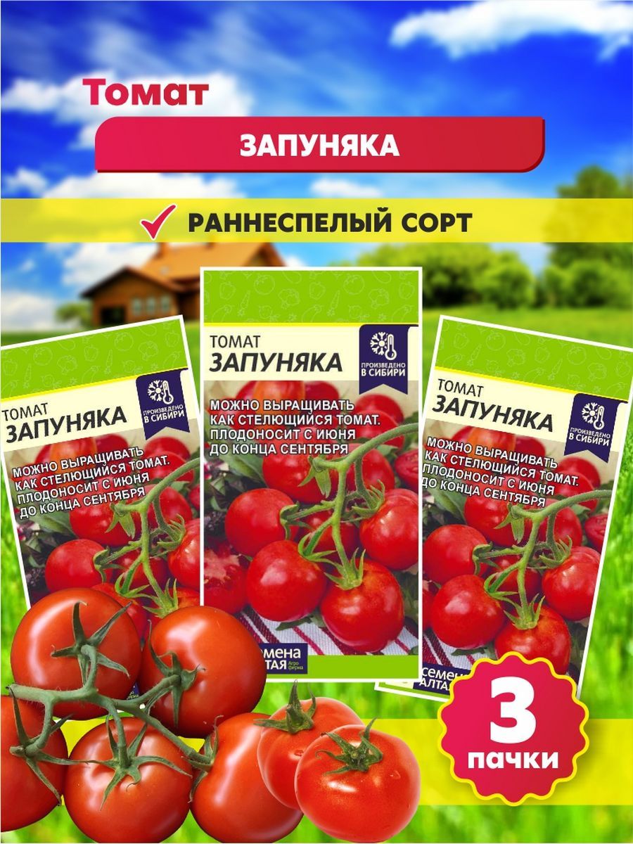 Сорт помидор запуняко отзывы. Томат Запуняка семена Алтая. Помидоры Запуняко семена Алтая. Томаты Запуняка Алтайские семена. Томат Запуняка описание.