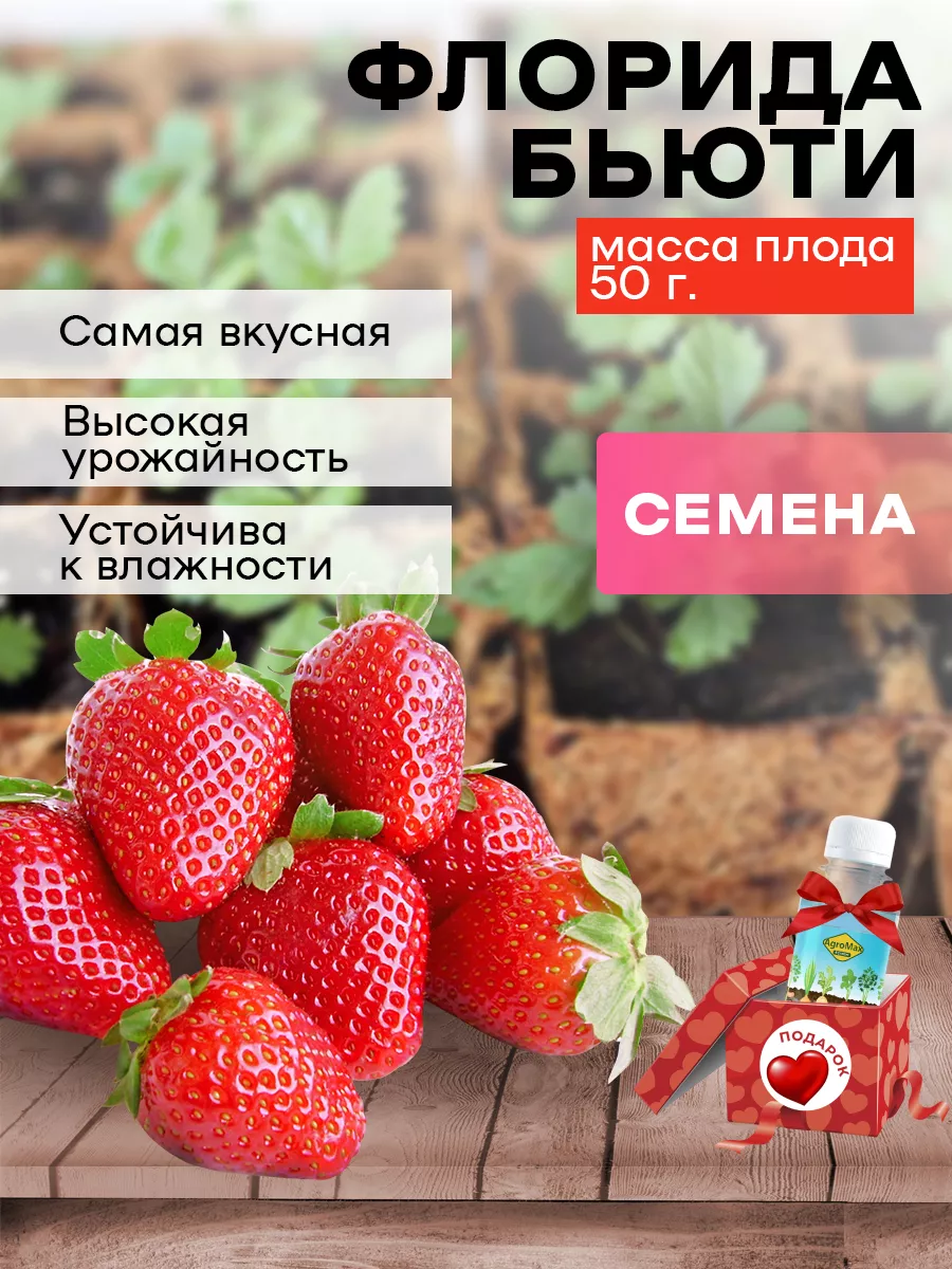 Клубника Флорида Бьюти семена GREEN ORGANIC 181338946 купить за 148 ₽ в  интернет-магазине Wildberries