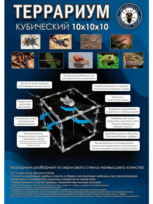 BTS_BY Террариум акриловый кубический 20*20*20, 10x10x10, фото 2