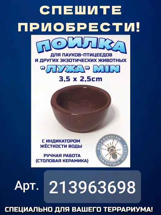 BTS_BY Террариум акриловый кубический 20*20*20, 10x10x10, фото 5