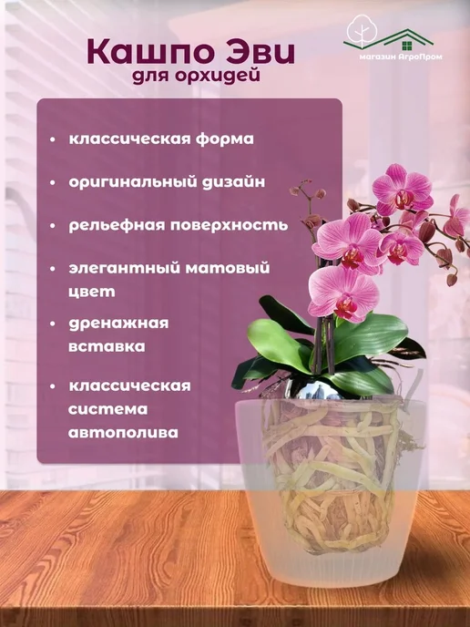 VIPplast Кашпо Эви прозрачный 2шт. в комплекте объем 1,5л, 2 шт, 1,5 л, фото 2