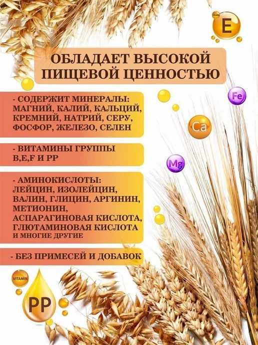 The One Rose Живые Зерна Пшеницы Виттграс 1 кг, без ГМО, 1 кг, фото 2