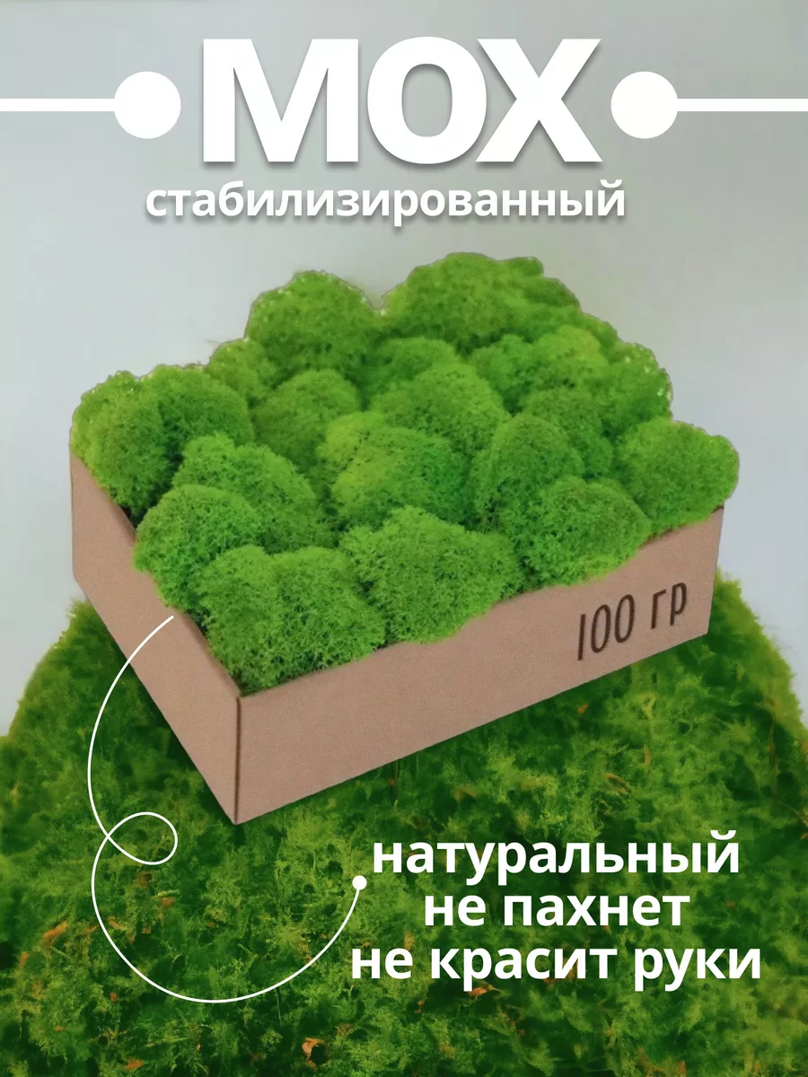 Стабилизированный мох 100 грамм для комнатных цветов декор