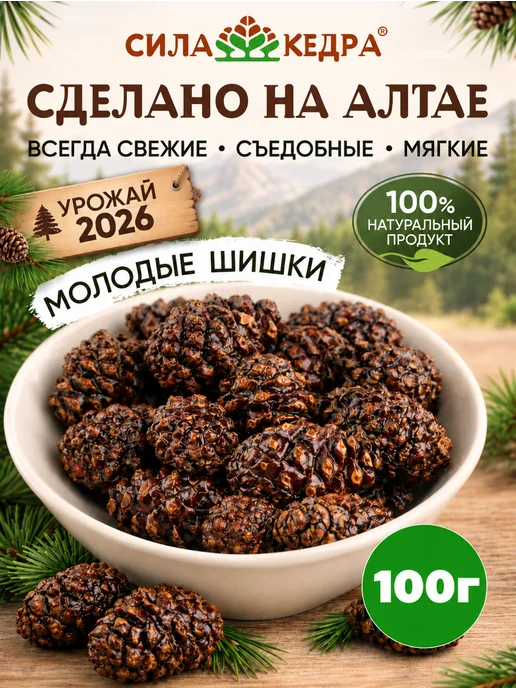 Сила кедра Цукаты из сосновых шишек, вариант