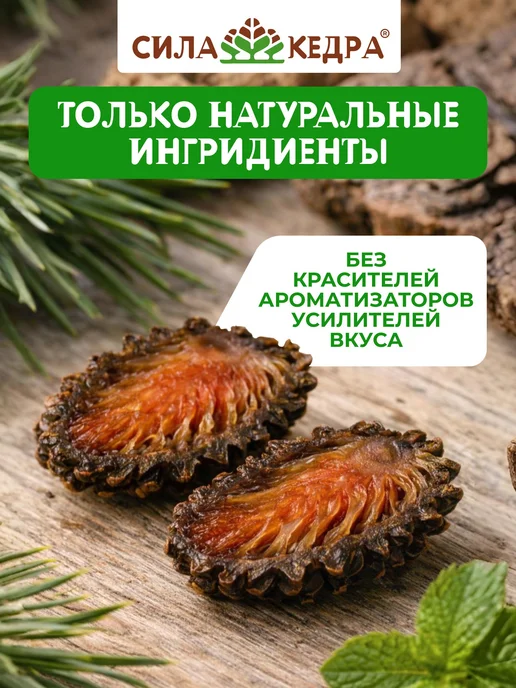 Сила кедра Цукаты из сосновых шишек, вариант, фото 3