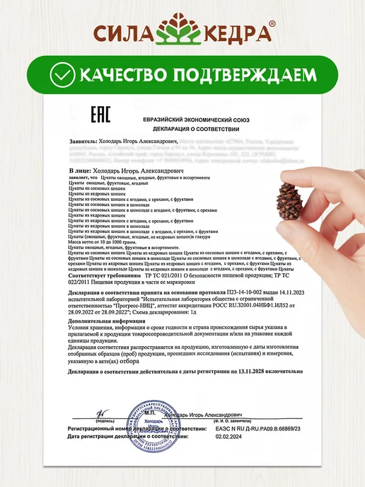 Сила кедра Цукаты из сосновых шишек, вариант, фото 7