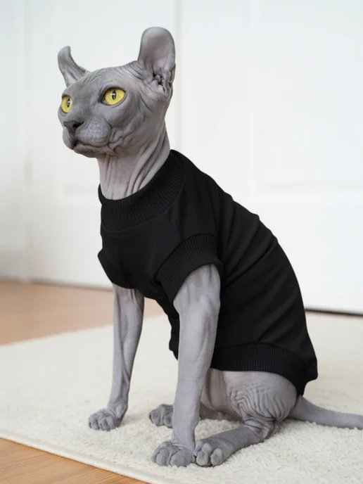 TimkyBone Одежда для кошек, черный