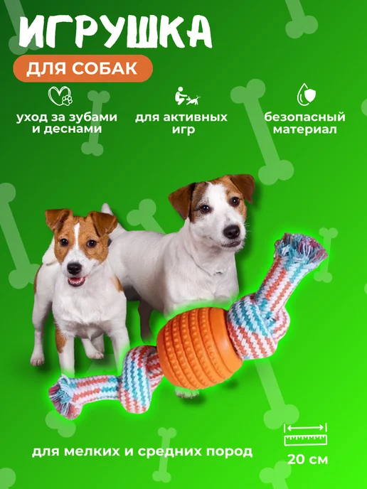 Шлеи и ошейники с грузами купить в Киеве. Цена, отзывы | DOGSTAFF