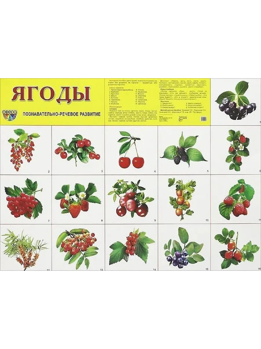 Все ягоды и их названия. Набор карточек. Ягоды названия. Карточки ягоды для детей. Ягоды названия.