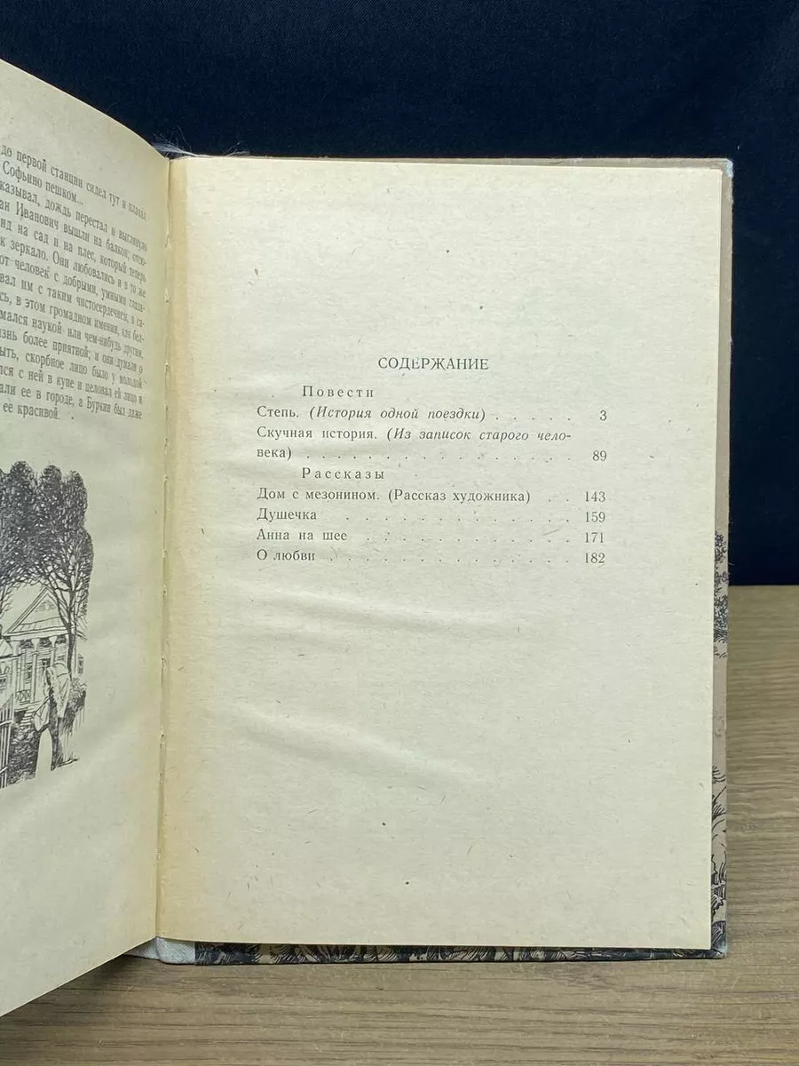 Степь Центрально-Черноземное книжное издательство 181597522 купить за 380 ₽  в интернет-магазине Wildberries