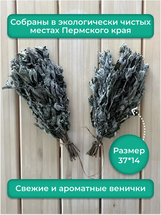 ООО "АВИС" Веники для бани мятные набор 2 штуки, вариант, фото 3