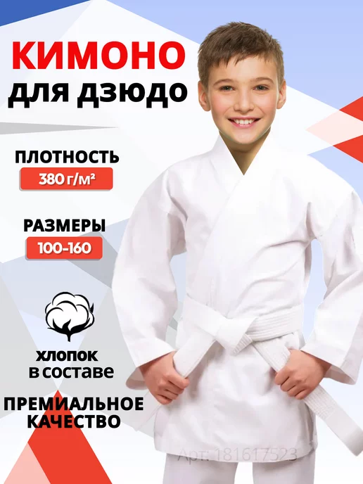 Judo mizuno online