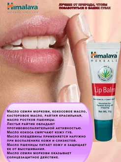 Бальзам для губ натуральный Himalaya Herbals, Lip Balm, 10 г BEAUTECRETS 181635514 купить за 189 ₽ в интернет-магазине Wildberries