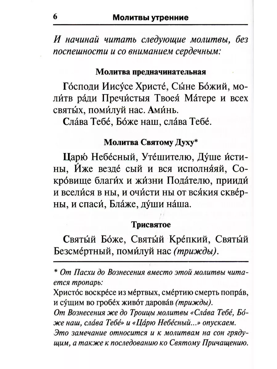 Молитвослов. Воскресная служба мирским чином. Правило ко Скрижаль 181649698  купить за 635 ₽ в интернет-магазине Wildberries