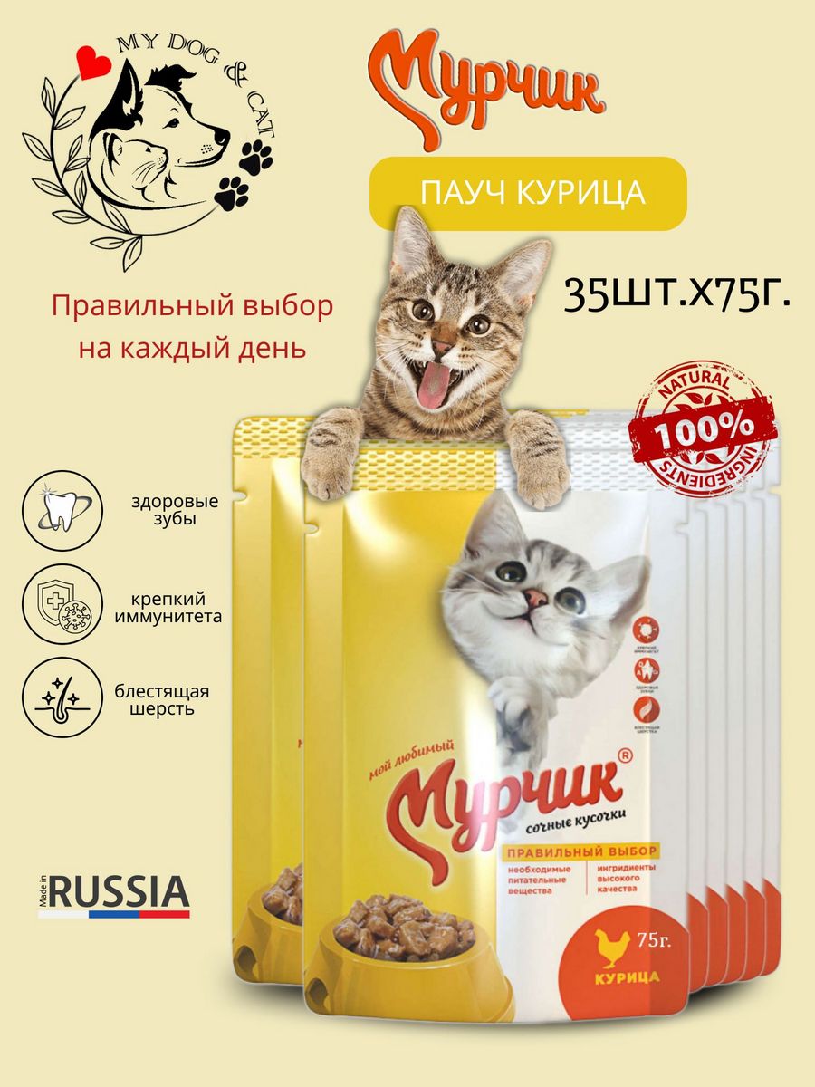 Корм Мурчик кошка в соусе. Кошачий корм Мурчик кошка в соусе. Корм Мурчик для кошек кошка в соусе фото. Можно котятам корм жидкий Мурчик с индейкой в соусе.