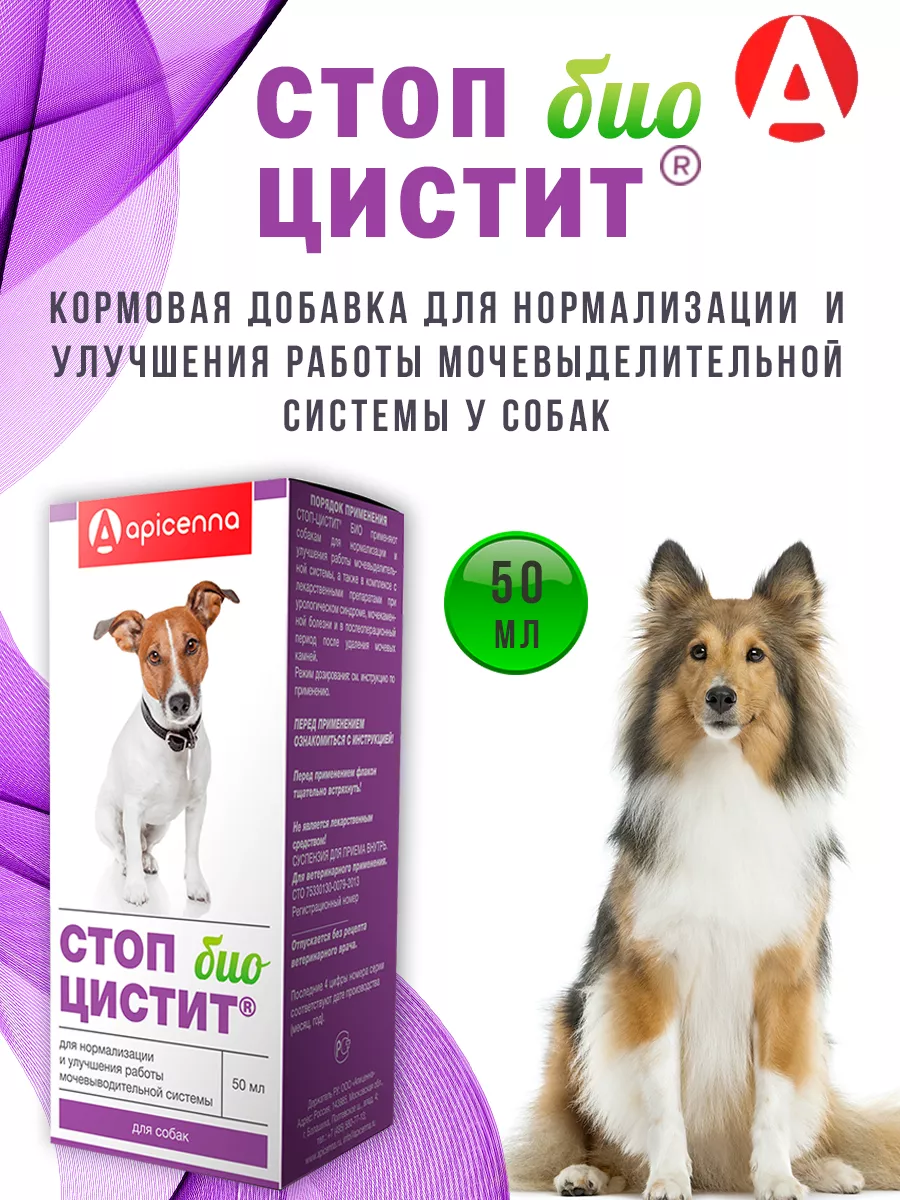 Стоп-цистит био для собак 50 мл. Apicenna 181930106 купить за 485 ₽ в  интернет-магазине Wildberries