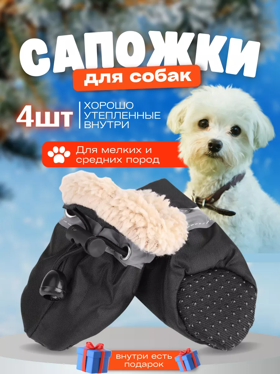 Зимняя обувь для собак
