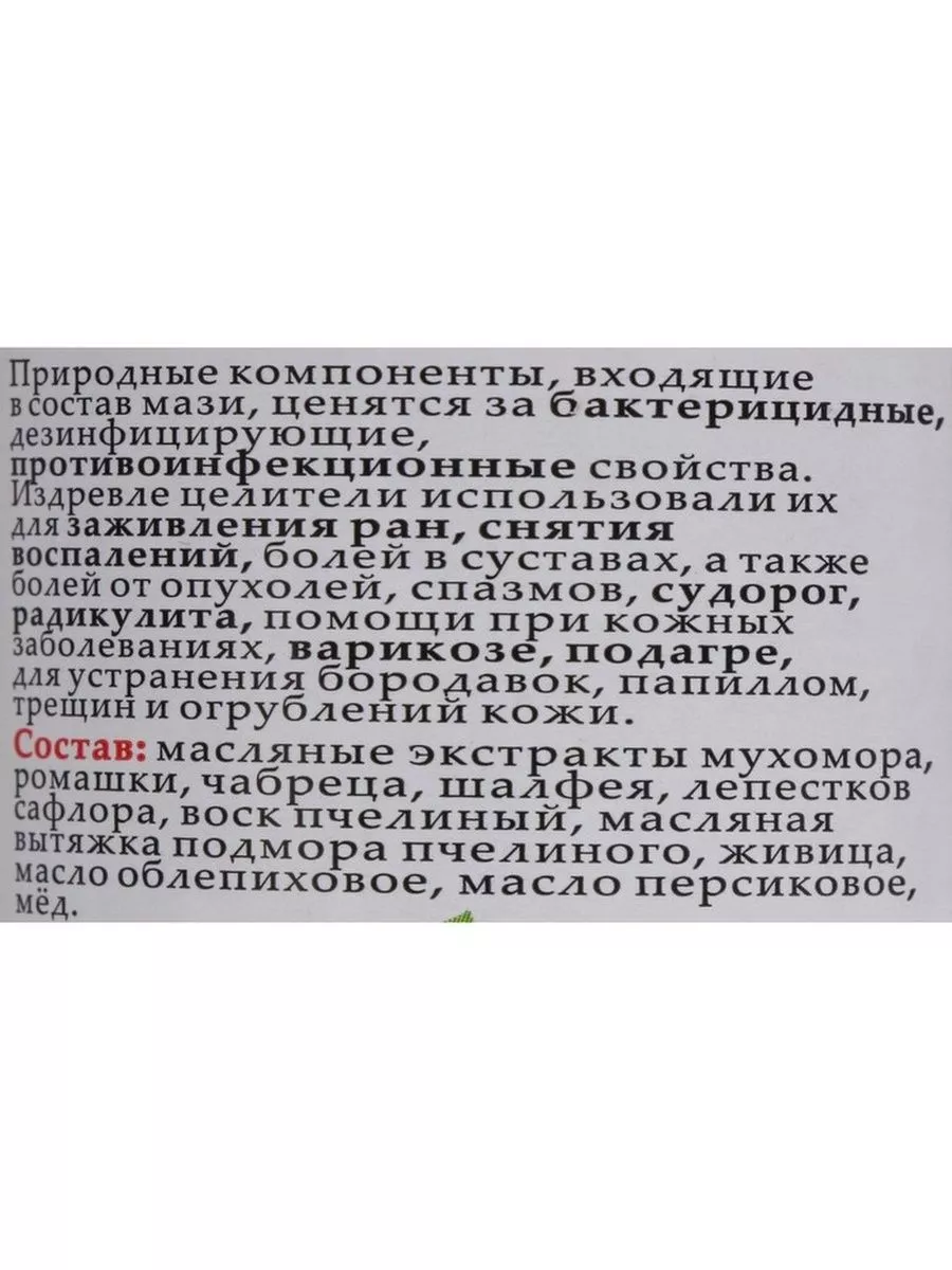 Мазь монастырская Живичная с мухомором, Солох-Аул, 100 мл Бизорюк 182010483  купить в интернет-магазине Wildberries