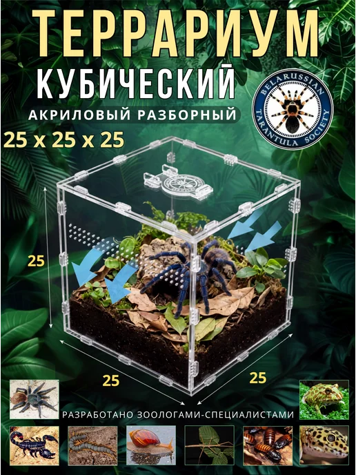 BTS_BY Террариум акриловый кубический 20*20*20, 25x25x25