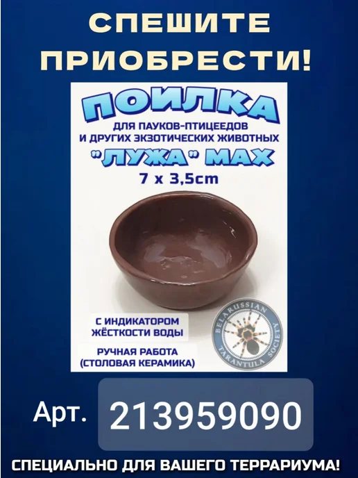 BTS_BY Террариум акриловый кубический 20*20*20, 25x25x25, фото 5