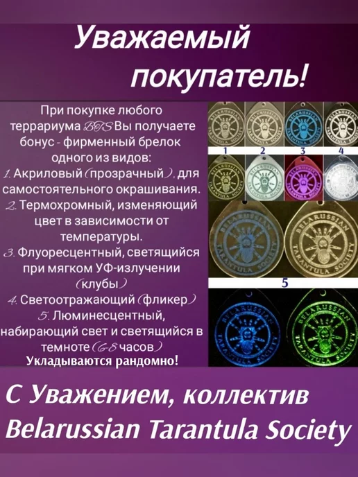 BTS_BY Террариум акриловый кубический 20*20*20, 25x25x25, фото 8