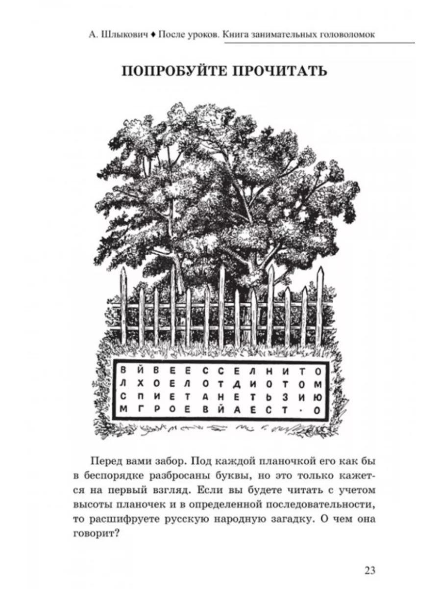 После уроков. Книга занимательных головоломок. Издательство Наше Завтра  182017990 купить за 448 ₽ в интернет-магазине Wildberries
