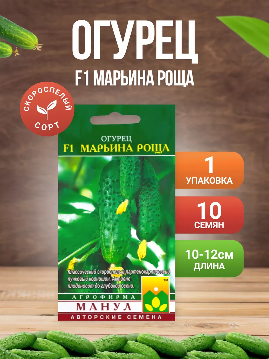 Огурец Марьина Роща Отзывы Фото