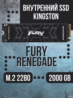 Внутренний SSD 2000 Gb FURY Renegade PCIe 4.0 х4 NVMe M.2 Kingston 182087608 купить за 21 427 ₽ в интернет-магазине Wildberries