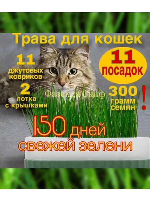 Трава для кошек. Набор на 11 посадоk image