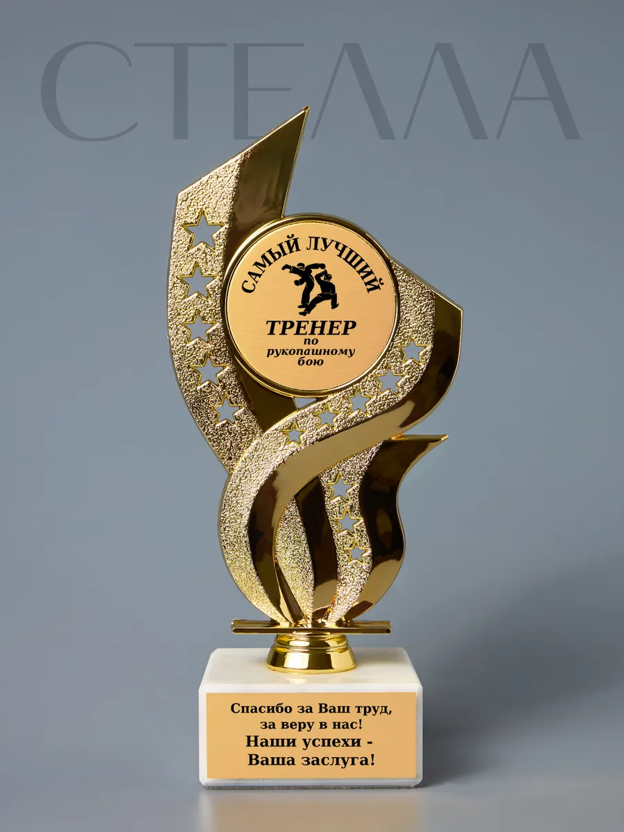 Статуэтка Стелла "Тренер по рукопашному бою"
