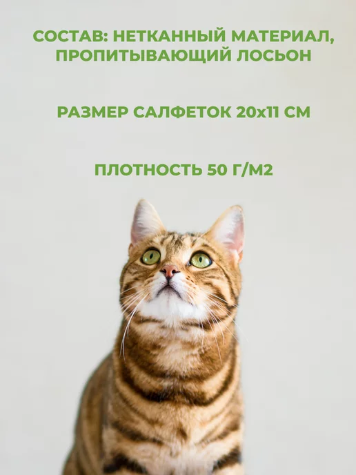 Teddy pets Влажные салфетки для глаз ушей кошек и собак, 50 шт, фото 6