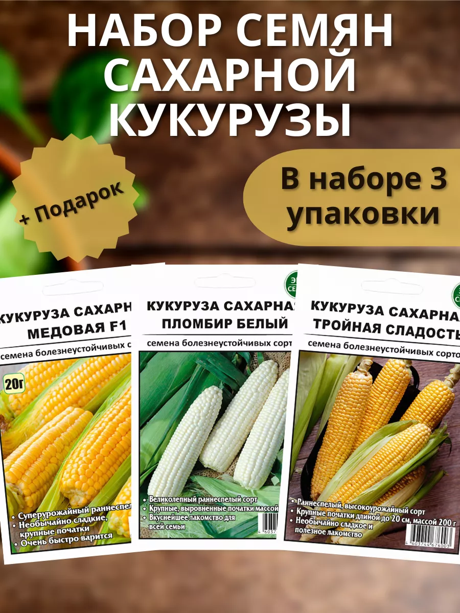 Купить Семена Кукурузы В Казахстане