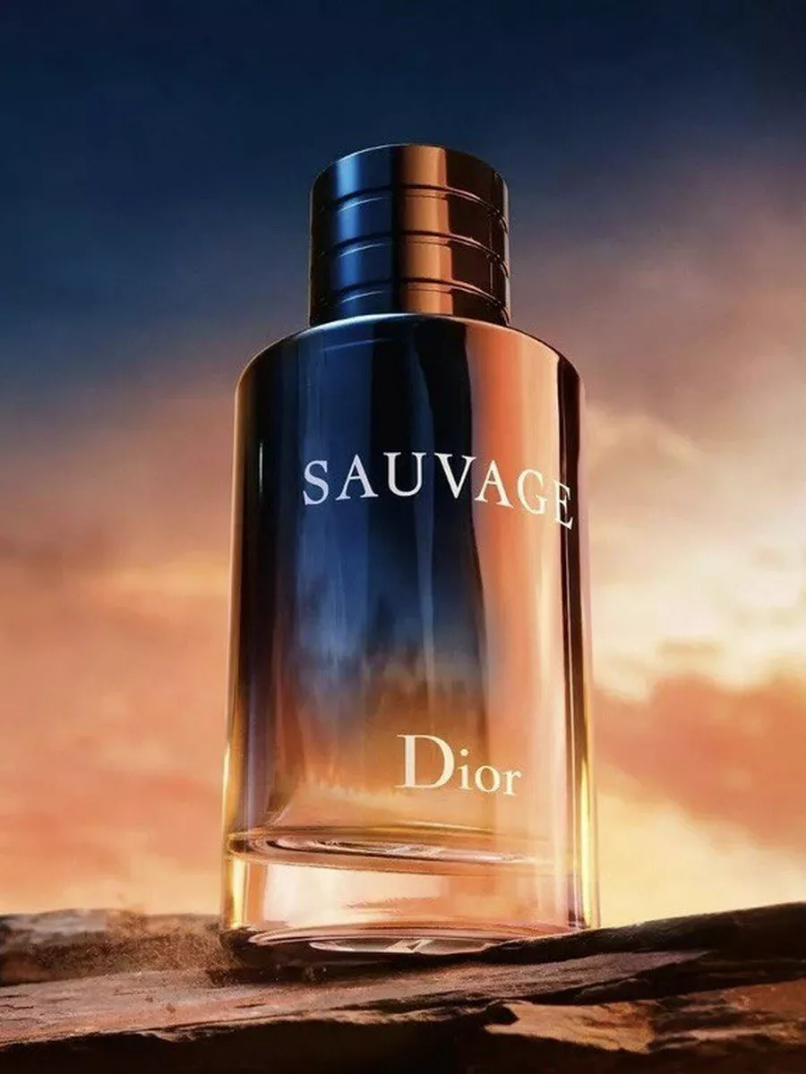 Christian dior sauvage for men eau de toilette spray hotsell