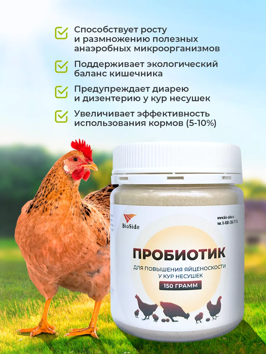 Пробиотик для кур несушек. BioSide 182215043 купить за 466 ₽ в  интернет-магазине Wildberries