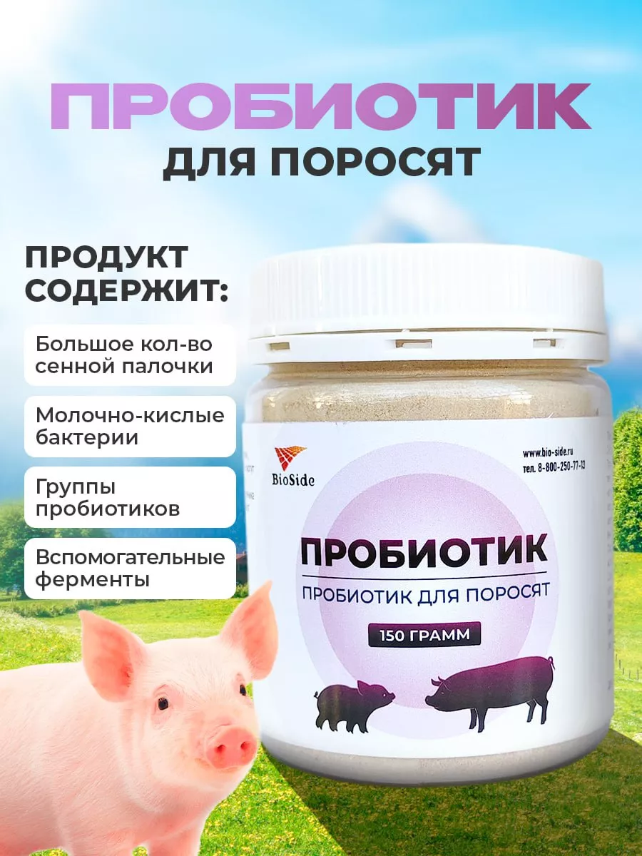 Пробиотик для поросят. BioSide 182215272 купить за 591 ? в  интернет-магазине Wildberries