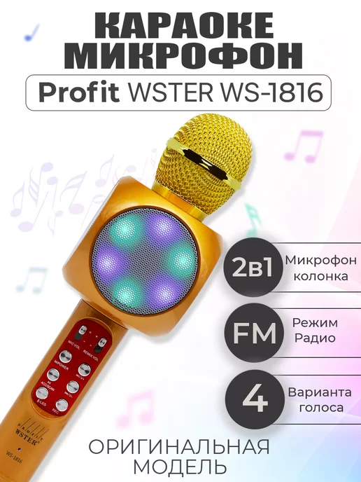 WSTER Микрофон караоке детский беспроводной