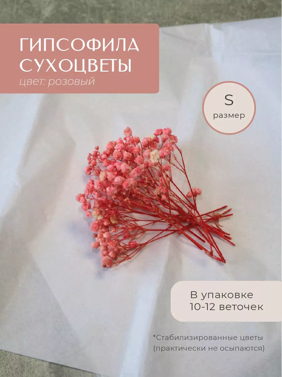 Гипсофила сухоцветы