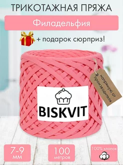 Трикотажная пряжа Филадельфия BISKVIT 182403666 купить за 425 ₽ в интернет-магазине Wildberries