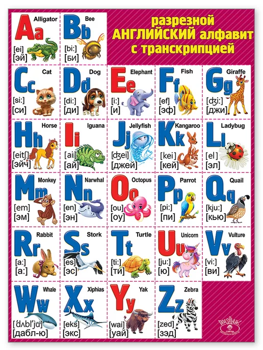 ТМ праздник Плакат Английский алфавит, школьный, на стену, белый, фото 7