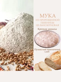 Мука из пророщенной пшеницы, цельнозерновая, ПикАктив,1 кг Русово Подворье 182440126 купить за 252 ₽ в интернет-магазине Wildberries