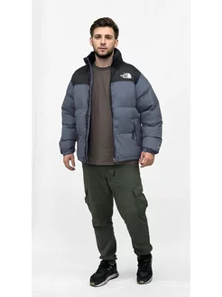 Куртка унисекс The North Face 182468236 купить за 1 888 ₽ в интернет-магазине Wildberries