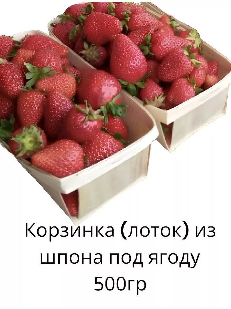 Буковые корзинки