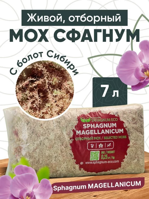 SPHAGNUM ECO Мох сфагнум Magellanicum грунт универсальный