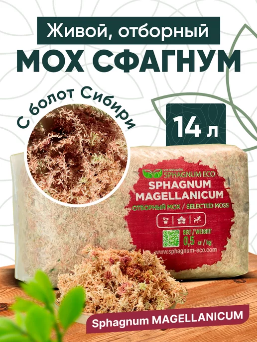 SPHAGNUM ECO Мох сфагнум Magellanicum L живой, отборный в пакете 14 л