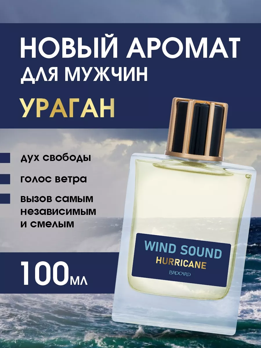 Туалетная вода Wind Sound Hurricane 100мл BROCARD 182588108 купить за 668 ₽  в интернет-магазине Wildberries